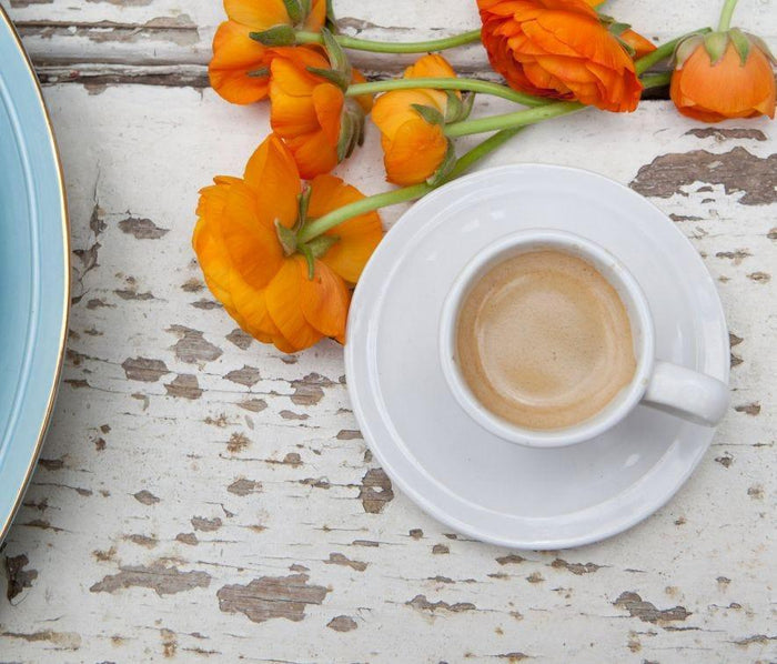 White Stoneware Espresso Cups and Saucers - Drinkware - The Well Appointed House