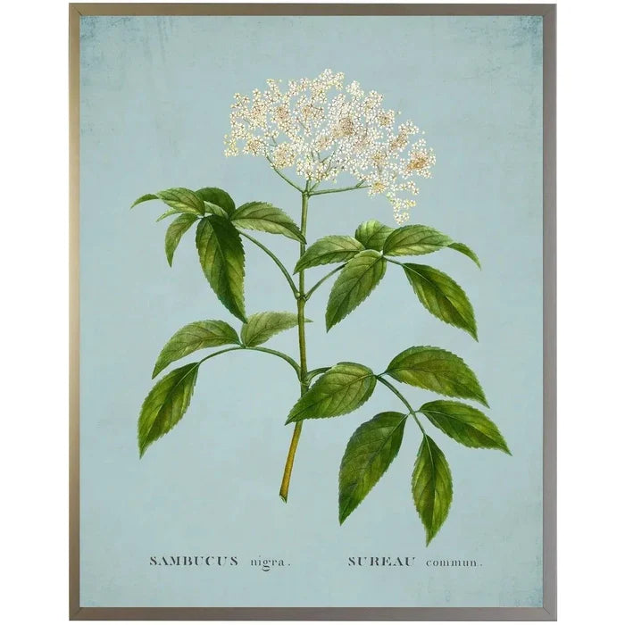 White Surreau Flower on Blue Framed Wall Art - Paintings - The Well Appointed House