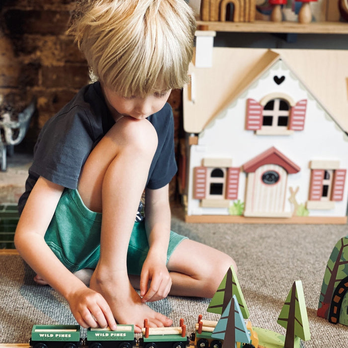 Wild Pines Train Set - The Well Appointed House