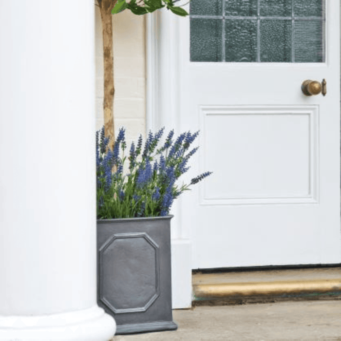 William Traditional Garden Planter - Outdoor Planters - The Well Appointed House