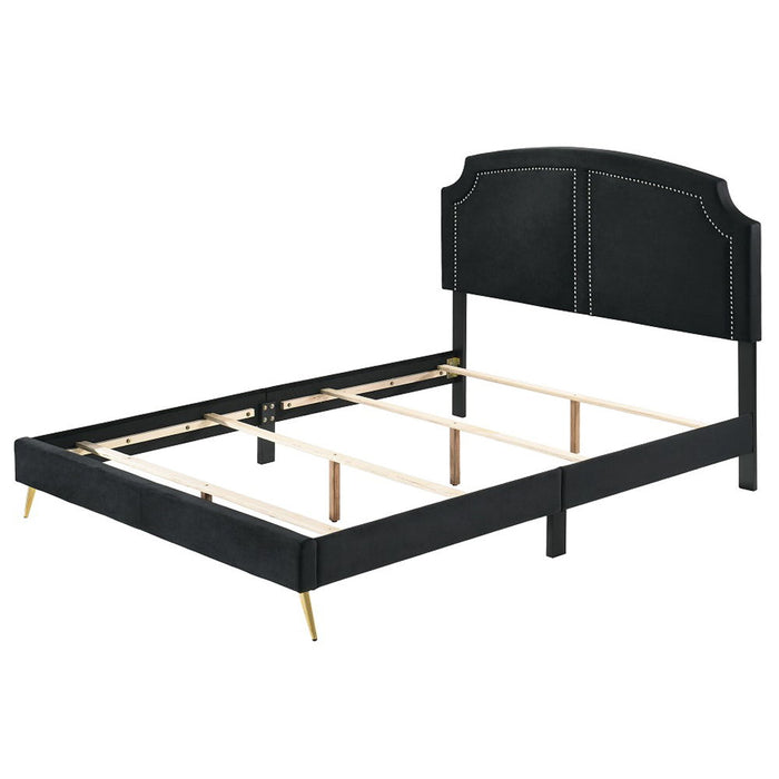 Zeena - Bed