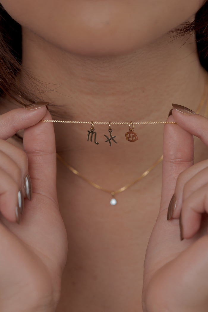 A detail view of the gold Zodiac charm necklace by Beads by Tara